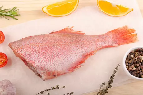 окунь морской