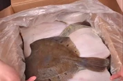 видео обзор камбала