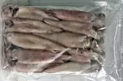 оптом патагонский кальмар