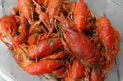 раки с укропом